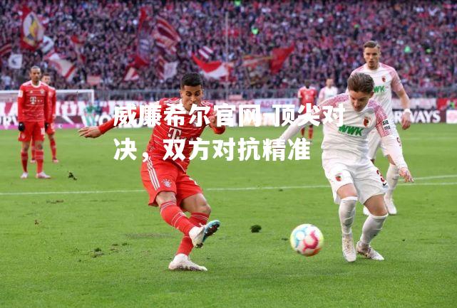 顶尖对决，双方对抗精准