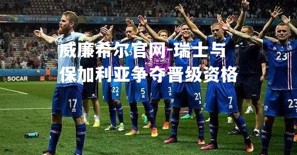 瑞士与保加利亚争夺晋级资格