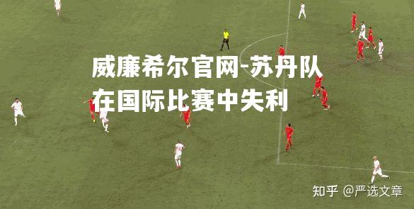 苏丹队在国际比赛中失利